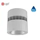 downlight surface mounted